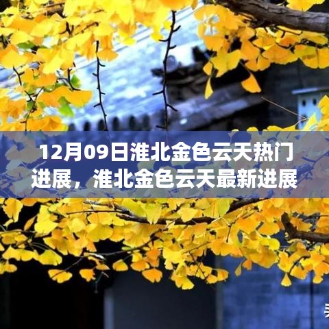 淮北金色云天最新進(jìn)展報告，聚焦十二月九日熱門動態(tài)