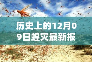科技之光照亮蝗災防線，智能監(jiān)測預警系統(tǒng)引領科技抗災新時代新篇章