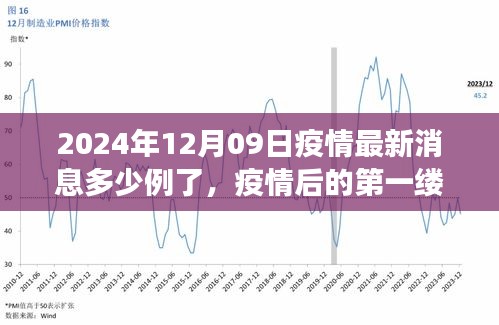 疫情最新消息下的自然美景之旅，啟程尋找內(nèi)心的寧靜港灣（2024年12月09日）