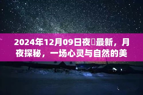 月夜探秘，心靈與自然的邂逅——記2024年12月09日夜廻之旅