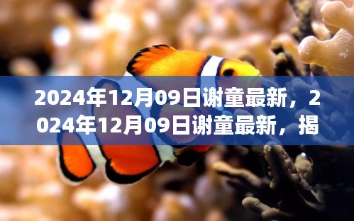揭秘音樂才子謝童的全新音樂之旅，2024年12月09日最新動態(tài)揭秘