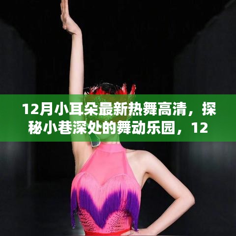 揭秘十二月小耳朵熱舞背后的秘密，小巷深處的舞動樂園