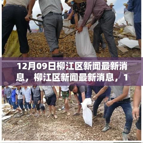 柳江區(qū)新聞回顧與最新動(dòng)態(tài)，12月09日影響及消息一覽