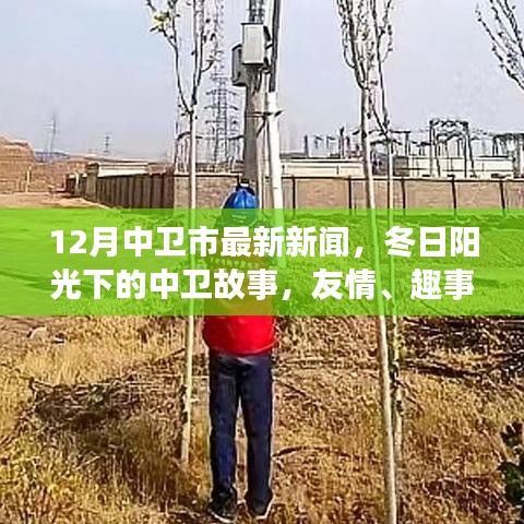 中衛(wèi)市最新新聞，冬日陽光下的溫情故事與家的溫暖