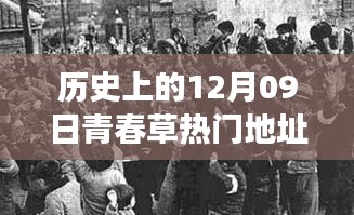 探尋青春草熱門地址背后的文化現(xiàn)象與青春記憶，歷史視角下的12月09日回顧