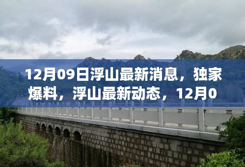 12月09日浮山獨家爆料，最新動態(tài)與震撼更新