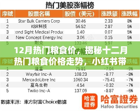 揭秘十二月糧食市場走勢，熱門糧食價格動態(tài)與小紅書帶你洞悉市場新動態(tài)