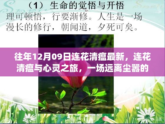 連花清瘟與心靈之旅，遠(yuǎn)離塵囂的奇妙探險(xiǎn)之旅