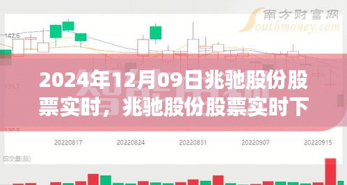 兆馳股份股票實時下的心靈探索之旅，尋找寧靜與平和