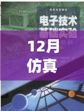 仿真之路，實(shí)時(shí)啟航，迎接自信與成就感的魔法時(shí)刻——十二月仿真需求解析