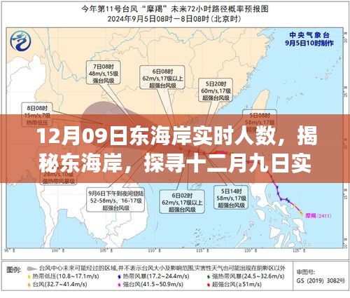 揭秘東海岸，十二月九日實時人數(shù)背后的故事