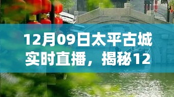 揭秘太平古城直播日，巷弄深處的獨特小店與探秘之旅