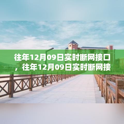 往年12月09日實時斷網接口產品評測，特性、體驗、對比及用戶群體深度解析