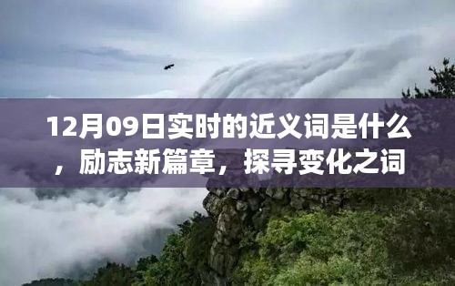 12月09日實時近義詞探索與勵志新篇章，探尋詞匯魔力，學習鑄就自信成就之橋