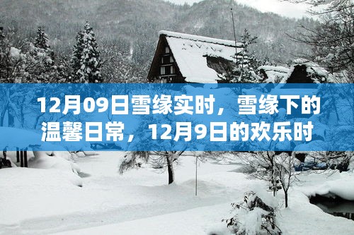 雪緣下的溫馨日常，12月9日的歡樂時光