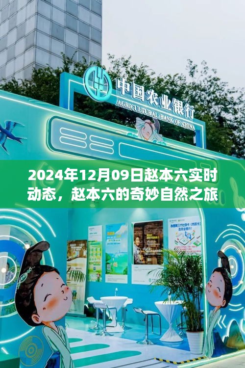 趙本六的奇妙自然之旅，尋找內(nèi)心平靜的美麗秘境（實(shí)時更新）