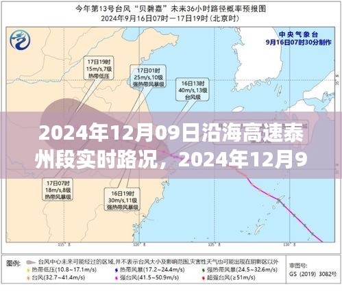 沿海高速泰州段實時路況分析與觀點分享，擁堵狀況下的多方視角