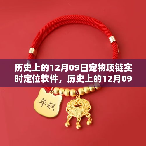 歷史上的12月09日，寵物項(xiàng)鏈實(shí)時(shí)定位軟件深度評(píng)測(cè)與介紹