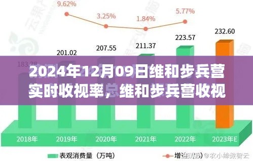 維和步兵營收視率報告，聚焦實時數(shù)據(jù)洞察