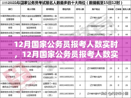 12月國(guó)家公務(wù)員報(bào)考人數(shù)實(shí)時(shí)分析與趨勢(shì)探討，數(shù)據(jù)、策略一覽