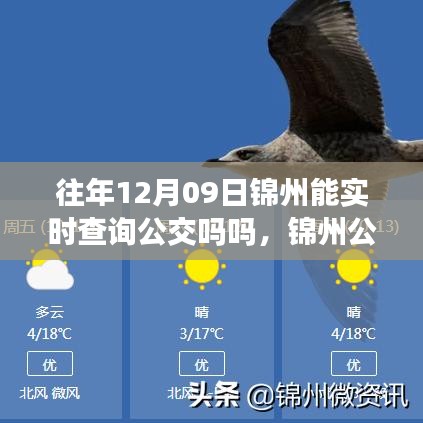 錦州公交實(shí)時(shí)查詢(xún)系統(tǒng)升級(jí)，智能出行新體驗(yàn)，科技生活觸手可及