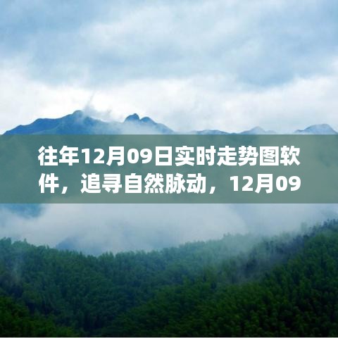 追尋自然脈動，12月09日走勢圖背后的心靈之旅與實時走勢圖軟件解析