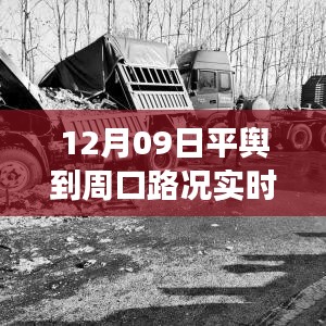 12月09日平輿到周口路況探秘，啟程尋找內心平靜的自然美景之旅