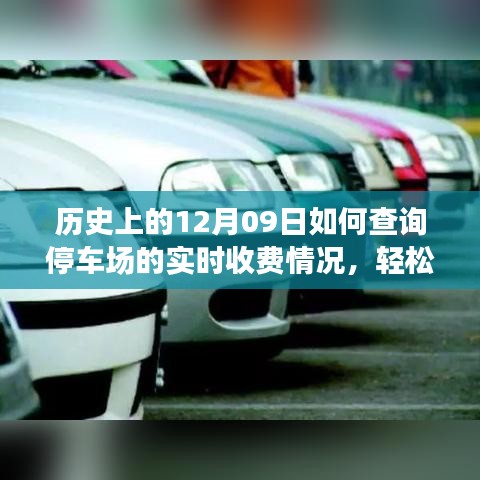 如何查詢停車場實(shí)時(shí)收費(fèi)情況？詳細(xì)步驟指南（歷史上的12月09日版）