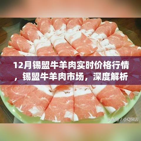 錫盟牛羊肉市場(chǎng)深度解析，十二月實(shí)時(shí)價(jià)格行情報(bào)告