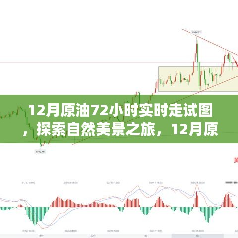 揭秘原油走勢(shì)圖背后的故事，探尋自然美景之旅的實(shí)時(shí)追蹤報(bào)告