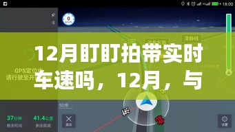 12月盯盯拍實時車速探尋美景之旅，與自然共舞，內(nèi)心寧靜之旅