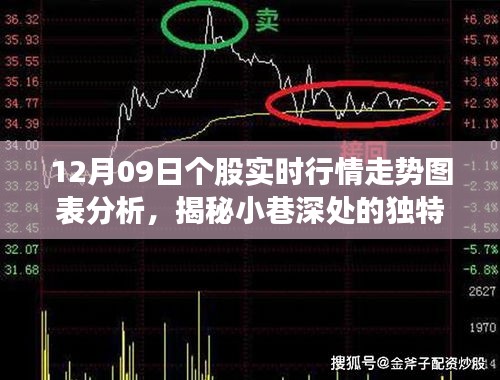 揭秘股市波動背后的特色小店故事，實(shí)時行情走勢圖表分析與小巷深處的獨(dú)特風(fēng)味探索（12月09日）