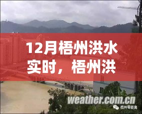 梧州洪水實(shí)時(shí)監(jiān)測(cè)，系統(tǒng)深度評(píng)測(cè)、特性、體驗(yàn)、競(jìng)品對(duì)比及用戶分析