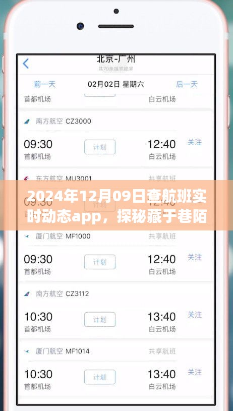 探秘航班實(shí)時(shí)動(dòng)態(tài)小天地，2024年12月9日的奇妙航班查詢(xún)之旅