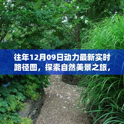 往年12月09日動(dòng)力路徑圖，自然美景探索之旅的寧靜與和諧體驗(yàn)