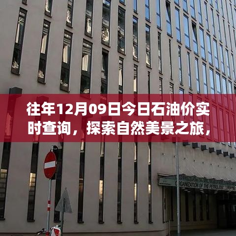 油價波動下的心靈之旅，今日石油價實時查詢與探索自然美景的寧靜之旅