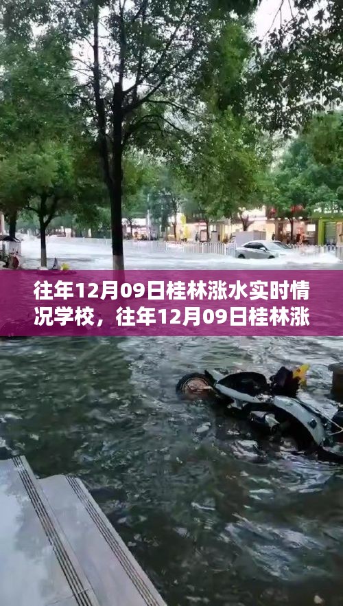 feiqigouhuo 第4頁(yè)