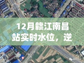 贛江南昌站水位實時觀察，逆流而上的成長之旅，展現(xiàn)變化、學(xué)習(xí)與自信的力量