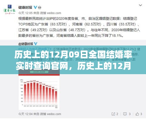 歷史上的12月09日全國結(jié)婚率實時查詢官網(wǎng)，探尋數(shù)據(jù)背后的故事