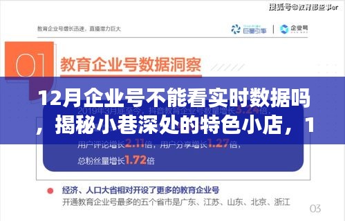 揭秘12月企業(yè)號(hào)實(shí)時(shí)數(shù)據(jù)，小巷特色小店的奇幻數(shù)據(jù)之旅