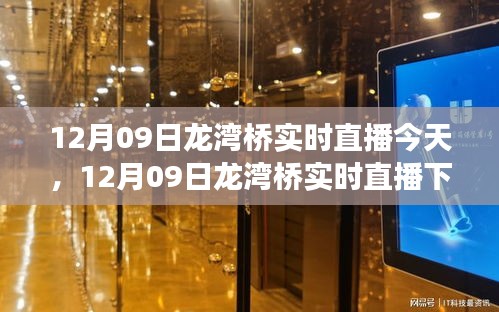 12月09日龍灣橋直播，城市發(fā)展與交通狀況實(shí)時(shí)探討
