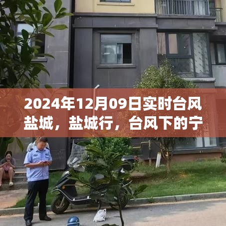 臺(tái)風(fēng)下的鹽城探尋之旅，自然之美與內(nèi)心寧靜的交融之路（實(shí)時(shí)更新）