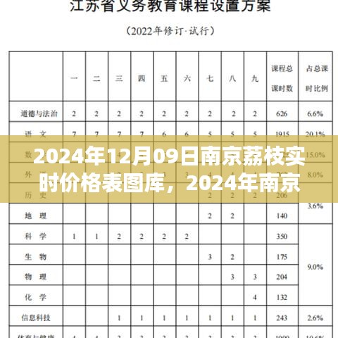 2024年南京荔枝實時價格表圖庫制作指南，從初學(xué)者到進階用戶全攻略