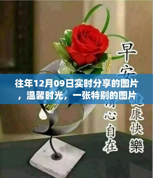 溫馨時(shí)光背后的故事，特別圖片分享與故事揭秘