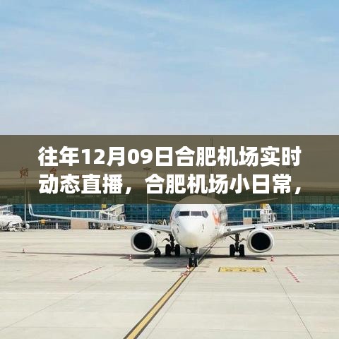 云端下的溫馨相遇，合肥機場12月9日實時動態(tài)直播小日常