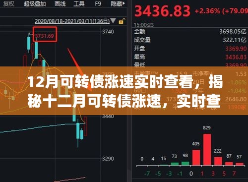 揭秘十二月可轉(zhuǎn)債漲速，實時查看與深度解讀報告