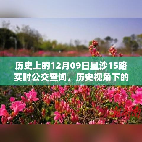 歷史視角下的星沙公交發(fā)展，星沙公交查詢系統(tǒng)深度探討與實(shí)時(shí)公交查詢服務(wù)解析（附，歷史上的星沙公交變遷）