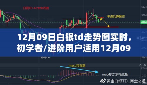 12月09日白銀TD走勢圖實(shí)時分析指南，適合初學(xué)者與進(jìn)階用戶