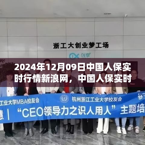 中國(guó)人保新浪網(wǎng)實(shí)時(shí)行情評(píng)測(cè)報(bào)告，產(chǎn)品特性與用戶體驗(yàn)深度解析