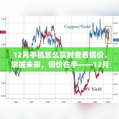 12月實時銅價監(jiān)控，掌握未來，擁抱變化！